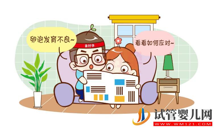 試管卵子質量不好怎么辦?(圖4) 試管卵子質量不好怎么辦?(圖4)