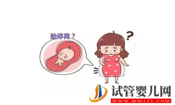 胎停育后能再次懷孕嗎？(圖1)