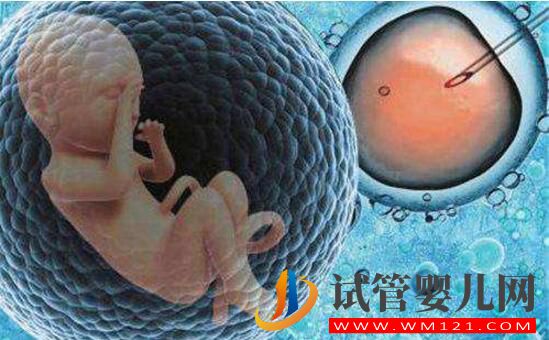 什么是第三代試管嬰兒 為什么國內禁止做這種手術(圖2) 什么是第三代試管嬰兒?為什么國內禁止做這種手術?(圖2)