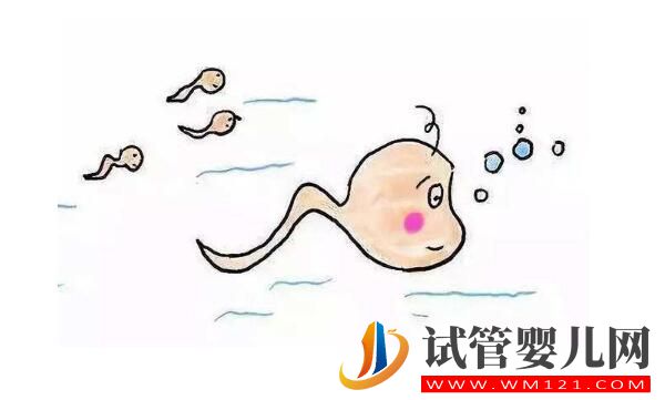 試管嬰兒的出發點和原理是什么?想要了解的進來看看了(圖1) 試管嬰兒的出發點和原理是什么?想要了解的進來看看了(圖1)