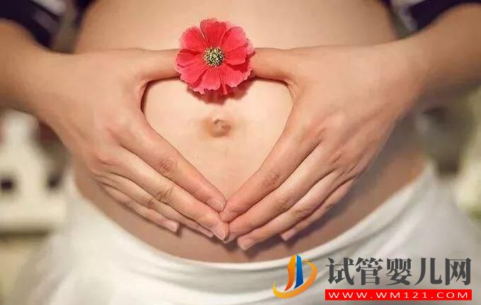 試管胚胎移植后要注意什么?(圖1) 試管胚胎移植后要注意什么?(圖1)