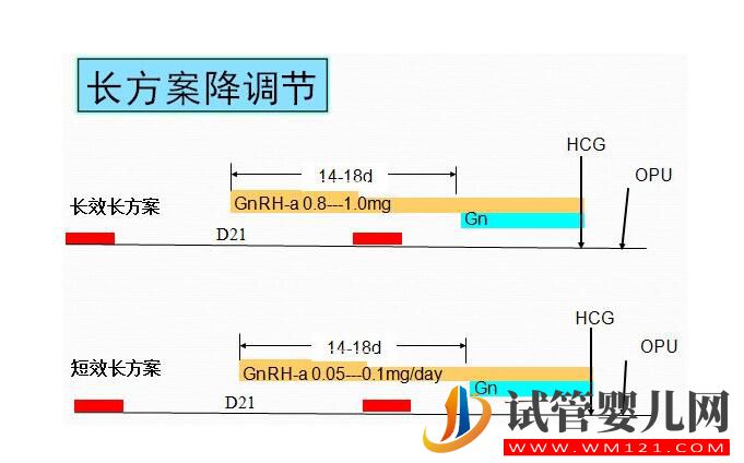 做試管促排方案不會選?(圖1) 做試管促排方案不會選?(圖1)