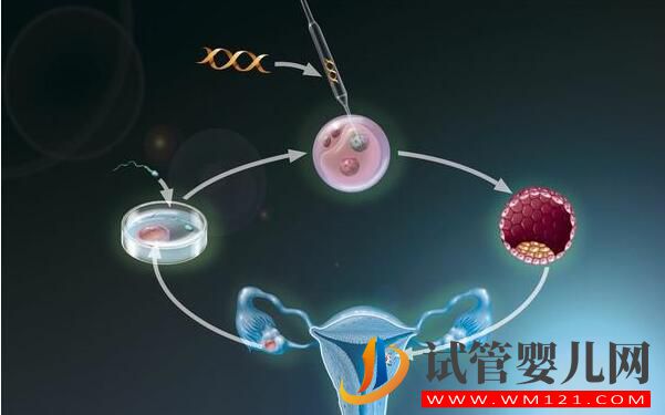 試管嬰兒適合那些人做?(圖3) 南通試管嬰兒適合那些人做?(圖3)