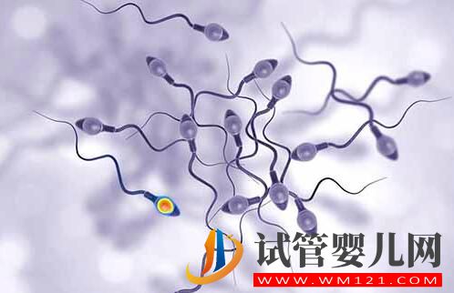 做完試管嬰兒后怎么判斷是否懷孕?(圖3) 做完試管嬰兒后怎么判斷是否懷孕?(圖3)