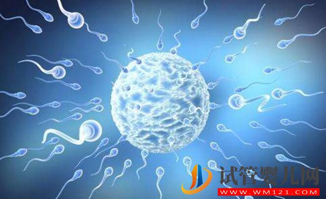 逆行射精可以做試管嬰兒?jiǎn)幔?圖2) 逆行射精可以做試管嬰兒?jiǎn)幔?圖2)