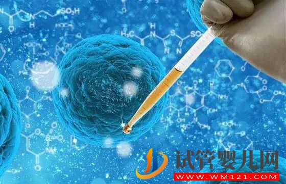 哪些因素影響試管嬰兒移植的成功?(圖1) 哪些因素影響試管嬰兒移植的成功?(圖1)