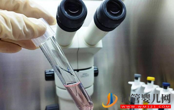 試管嬰兒不能生孩子這個說法是真還是假？(圖1)