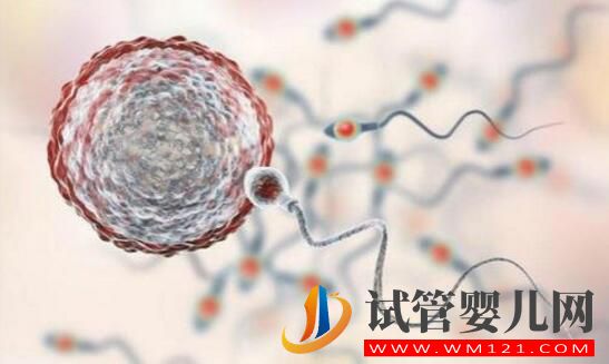 做試管嬰兒多少歲比較合適？(圖3)