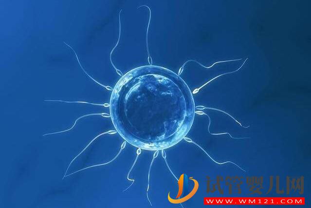 做試管嬰兒整個環節有哪些?(圖5) 做試管嬰兒整個環節有哪些?(圖5)