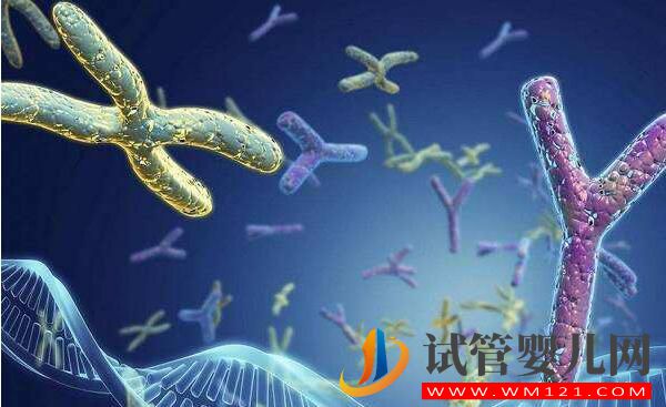 泌乳素高會(huì)影響做試管嬰兒嗎?如何比較好?(圖2) 泌乳素高會(huì)影響做試管嬰兒嗎?如何比較好?(圖2)