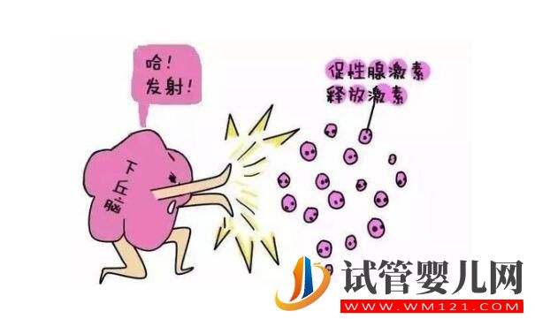 試管嬰兒有多少個方案?如何選擇促排卵方案?(圖1) 試管嬰兒有多少個方案?如何選擇促排卵方案?(圖1)