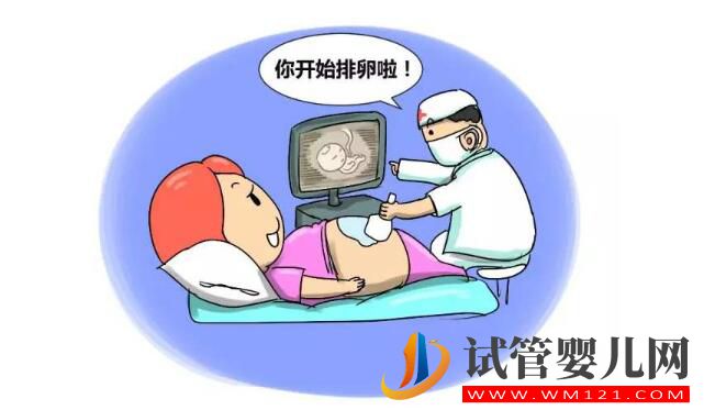 試管嬰兒有多少個方案?如何選擇促排卵方案?(圖3) 試管嬰兒有多少個方案?如何選擇促排卵方案?(圖3)