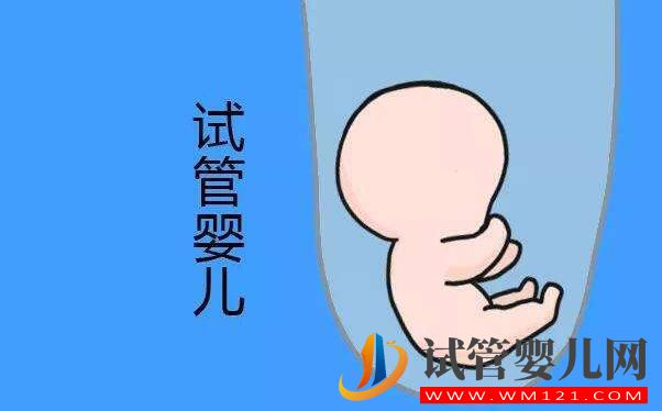 試管嬰兒是在哪里長大的？是在試管里長大的嗎？(圖1)
