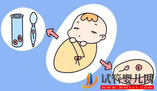 試管嬰兒是在哪里長大的？是在試管里長大的嗎？(圖4)