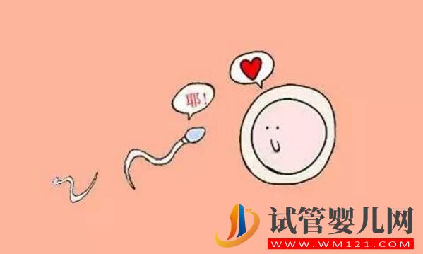 高齡生育你需要知道關于影響卵泡質量的因素(圖2) 高齡生育你需要知道關于影響卵泡質量的因素(圖2)