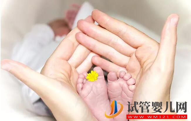 試管嬰兒胚胎移植一個還是兩個好(圖1) 試管嬰兒胚胎移植一個還是兩個好(圖1)