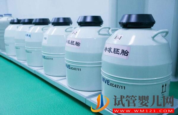 試管嬰兒胚胎冷藏一年需要多少錢?(圖1) 試管嬰兒胚胎冷藏一年需要多少錢?(圖1)
