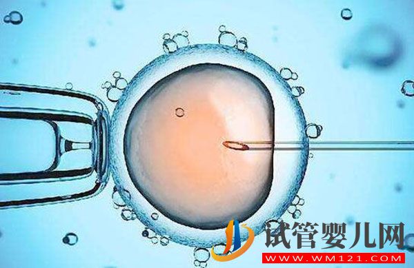 做試管嬰兒的全部流程和費(fèi)用 全部做完要多長(zhǎng)時(shí)間(圖1) 做試管嬰兒的全部流程和費(fèi)用 全部做完要多長(zhǎng)時(shí)間(圖1)