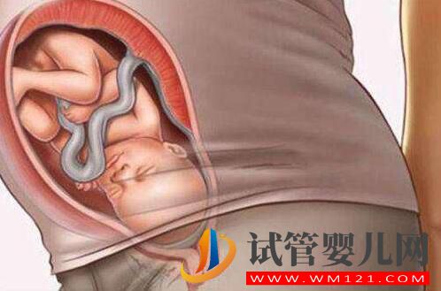 做試管嬰兒的全部流程和費(fèi)用 全部做完要多長(zhǎng)時(shí)間(圖2) 做試管嬰兒的全部流程和費(fèi)用 全部做完要多長(zhǎng)時(shí)間(圖2)