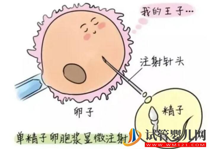 國內試管嬰兒全過程和試管注意事項介紹(圖2) 國內試管嬰兒全過程和試管注意事項介紹(圖2)