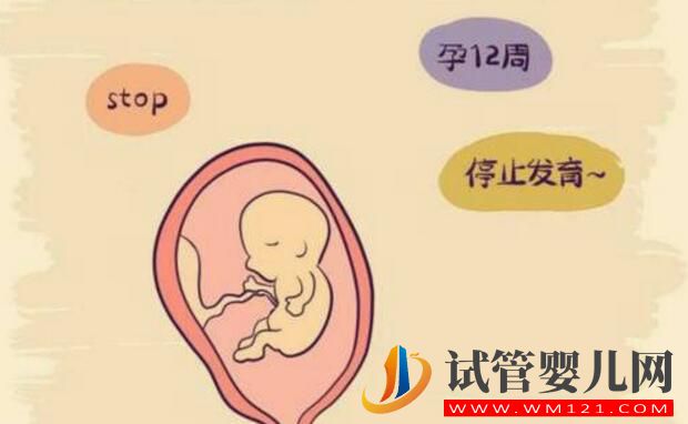 國內試管嬰兒全過程和試管注意事項介紹(圖3) 國內試管嬰兒全過程和試管注意事項介紹(圖3)