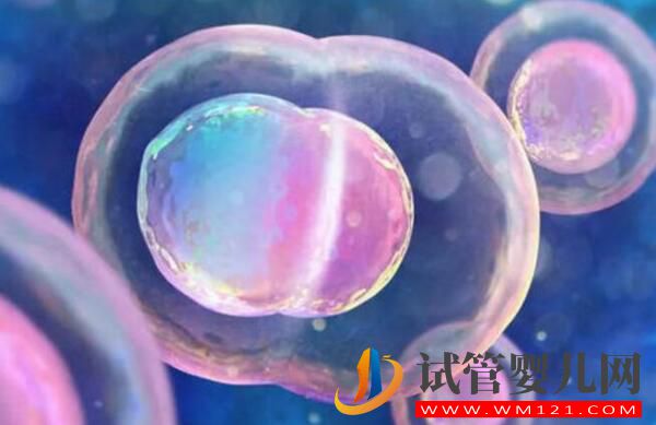 試管嬰兒為什么不能包成功?存在的原因是什么(圖1) 試管嬰兒為什么不能包成功?存在的原因是什么(圖1)