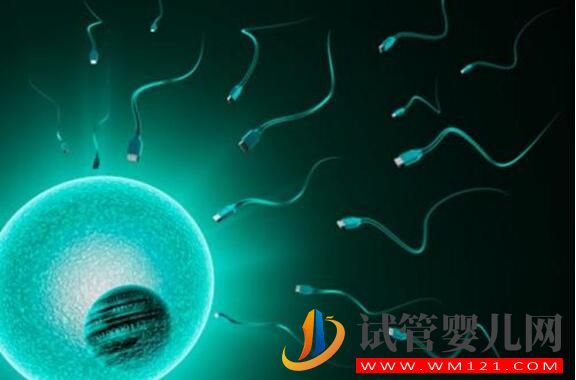 試管嬰兒為什么不能包成功?存在的原因是什么(圖3) 試管嬰兒為什么不能包成功?存在的原因是什么(圖3)