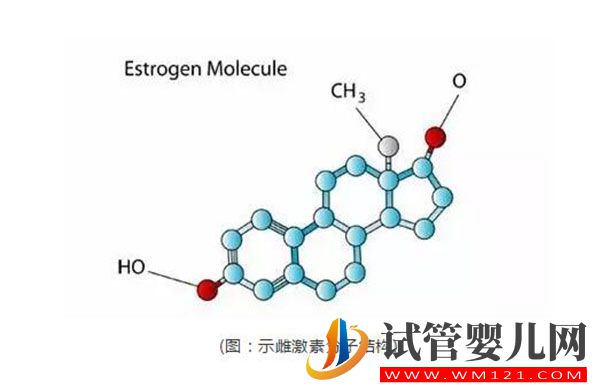 試管嬰兒進(jìn)周前檢測(cè)雌激素是為什么?雌激素對(duì)于排卵進(jìn)周的意義(圖1) 試管嬰兒進(jìn)周前檢測(cè)雌激素是為什么?雌激素對(duì)于排卵進(jìn)周的意義(圖1)