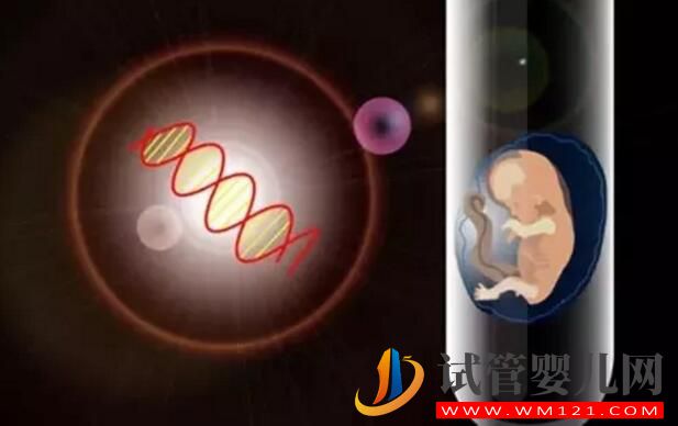 高齡備孕試管嬰兒如何提高成功率 需要做哪些調理工作(圖4) 高齡備孕試管嬰兒如何提高成功率 需要做哪些調理工作(圖4)
