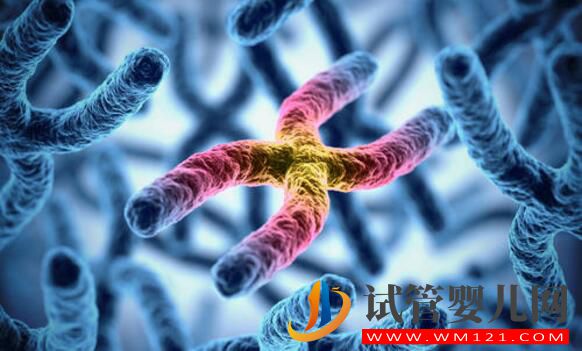 做試管嬰兒的條件是什么?(圖3) 做試管嬰兒的條件是什么?(圖3)