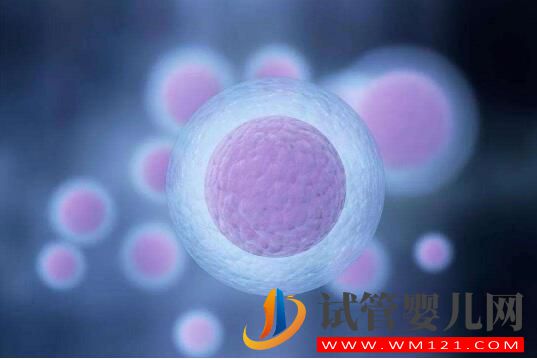 做試管嬰兒的流程有哪些 手術費用包括哪些方面(圖3) 安順做試管嬰兒的流程有哪些 手術費用包括哪些方面(圖3)