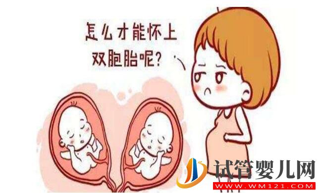 怎么樣懷雙胞胎的概率更大 有什么好的方法嗎(圖2) 怎么樣懷雙胞胎的概率更大 有什么好的方法嗎(圖2)