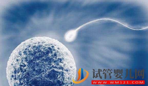 高齡女性做試管如何提高成功率?要注意什么(圖2) 高齡女性做試管如何提高成功率?要注意什么(圖2)