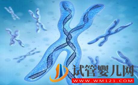 針對遺傳疾病試管技術有什么效果?移植過后有不適怎么辦?(圖2) 針對遺傳疾病試管技術有什么效果?移植過后有不適怎么辦?(圖2)