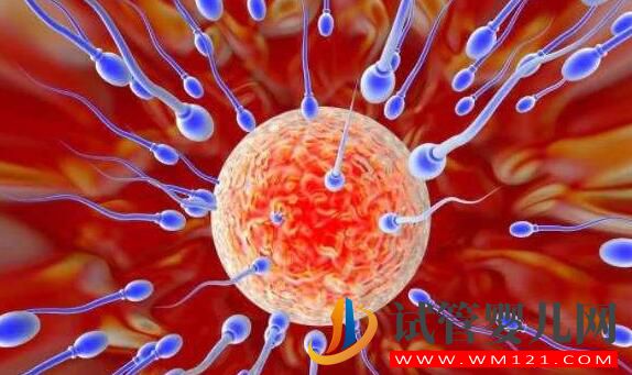 備孕時有什么需要注意的？準媽媽們心情抑郁了怎么辦？(圖3)