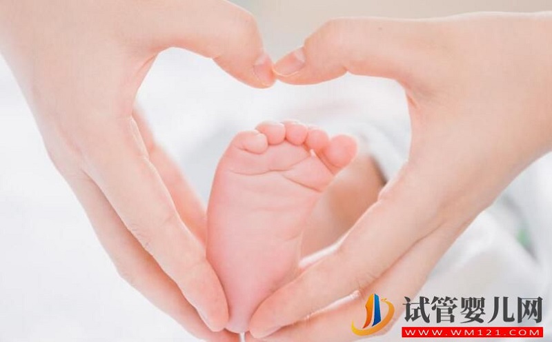 卵巢對于試管成功率有多大的影響?分娩時哪種方式更安全?(圖2) 卵巢對于試管成功率有多大的影響?分娩時哪種方式更安全?(圖2)
