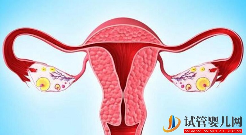 婦科疾病對于試管輔助生殖有什么影響?應該如何預防呢?(圖2) 婦科疾病對于試管輔助生殖有什么影響?應該如何預防呢?(圖2)