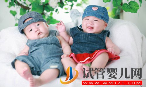 在選擇生龍鳳胎機構(gòu)時需要注意的幾項問題(圖1)