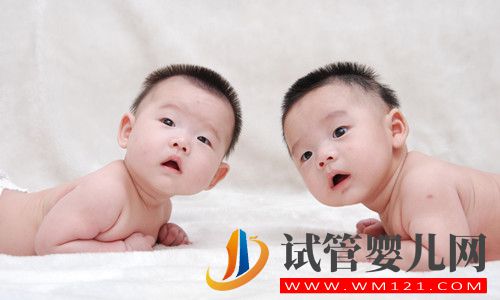 生龍鳳胎機(jī)構(gòu)具有什么特點(diǎn)比較值得信任？(圖1)