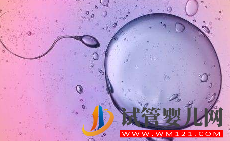 為什么越來越多的女性愿意選擇冷凍卵子？(圖1)