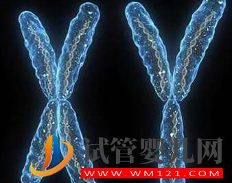 男性染色體異常有沒有什么辦法?能否進行人工授精?(圖2) 男性染色體異常有沒有什么辦法?能否進行人工授精?(圖2)