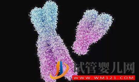 男性染色體異常有沒有什么辦法?能否進行人工授精?(圖3) 男性染色體異常有沒有什么辦法?能否進行人工授精?(圖3)