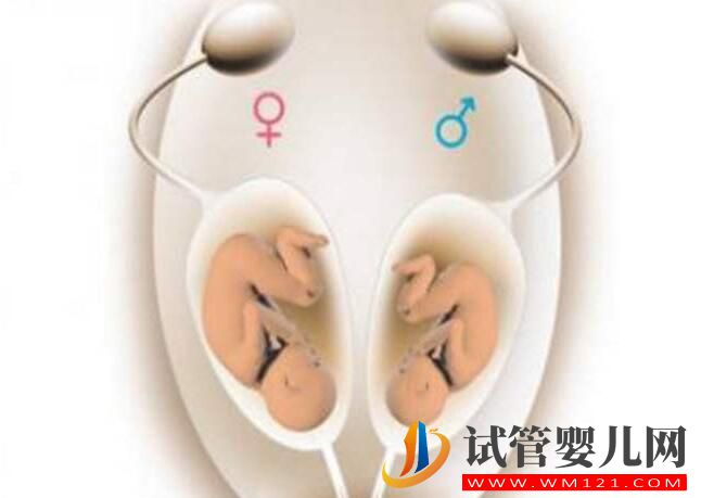 高齡女性做試管應該選擇第幾代技術?(圖1) 高齡女性做試管應該選擇第幾代技術?(圖1)