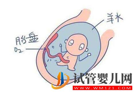 羊水的秘密你知道嗎?帶您了解女性的生育奧秘!(圖2) 羊水的秘密你知道嗎?帶您了解女性的生育奧秘!(圖2)