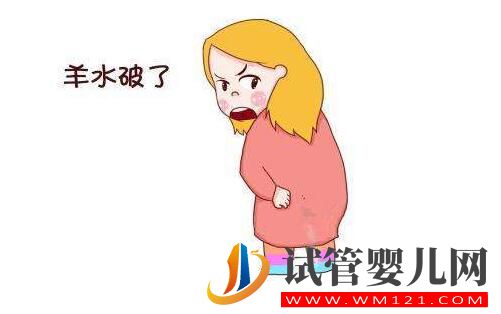 羊水的秘密你知道嗎?帶您了解女性的生育奧秘!(圖3) 羊水的秘密你知道嗎?帶您了解女性的生育奧秘!(圖3)