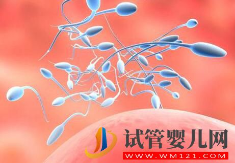為什么男性精子問題頻出?平時作息良好也難避免?(圖2) 為什么男性精子問題頻出?平時作息良好也難避免?(圖2)
