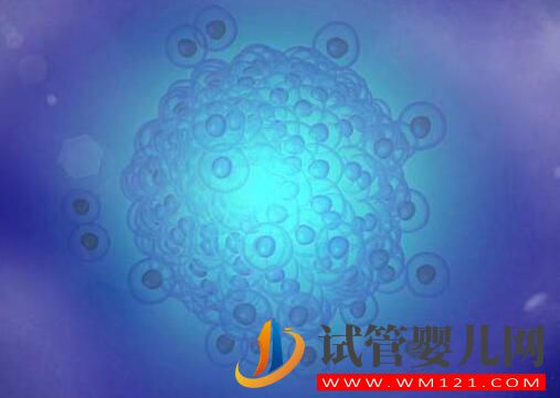 有哪些方法能提高試管嬰兒的成功率?怎樣提高卵子質量?(圖1) 有哪些方法能提高試管嬰兒的成功率?怎樣提高卵子質量?(圖1)