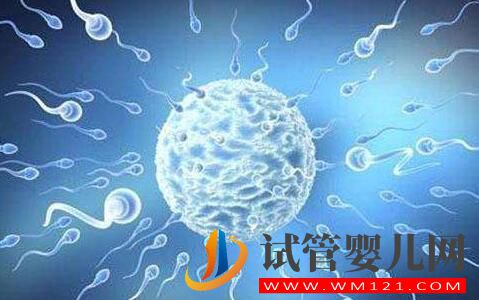 子宮內膜過薄會有什么影響？試管前應該如何預防？(圖3)