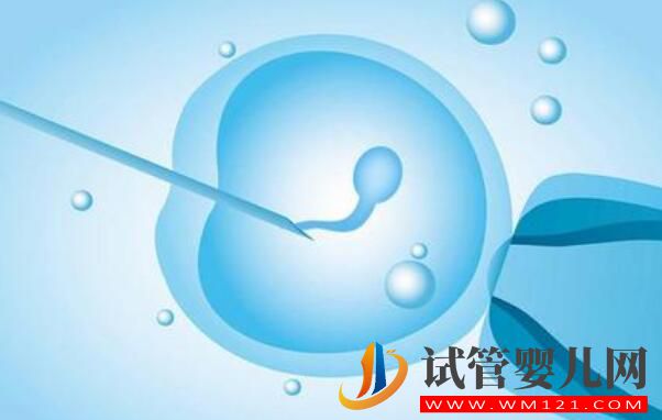反復流產(chǎn)的原因都有哪些?應該做什么檢查?(圖2) 反復流產(chǎn)的原因都有哪些?應該做什么檢查?(圖2)