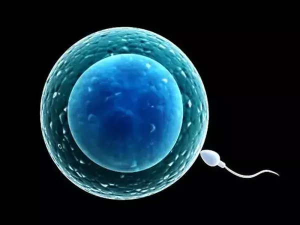 合肥試管嬰兒醫院排名不得不看，教你選擇最好的(圖1)